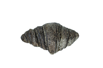 Black croissant isolated on white background.