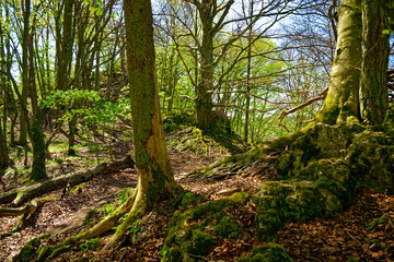 a beautiful day in the ancient town of Dollnstein