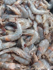 Shrimp. Fresh raw shrimps at the market for sell. Heap of prawns with top view. Shrimp pattern, prawn texture. 