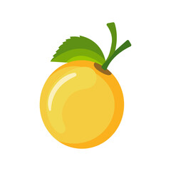 lemon Vector Flat Illustration