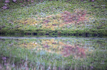 Reflections on a lake