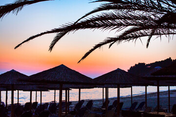 Panoramic background with palm tree branch silhuette and colorful sunset sky