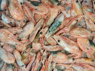 fresh shrimps on the market