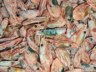 frozen boiled pink shrimps close-up