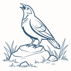 Obraz premium Singing bird on rock, clean cutout, transparent background