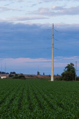 Power lines in field