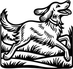 Running dog illustration in vintage engraved with expressive lines and detailed fur on grassy ground