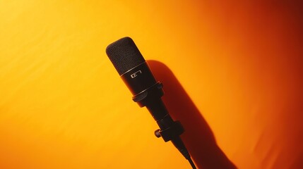 Fototapeta premium Professional studio microphone with sleek design, symbolizing modern audio excellence.