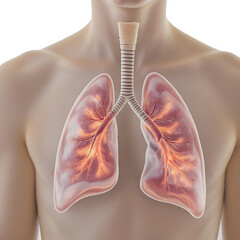 Radiograph on dark background in hospital.The x-ray used for diagnosis of the illness of patient.Medical concept.Blue tone xray show mass at left lung with	