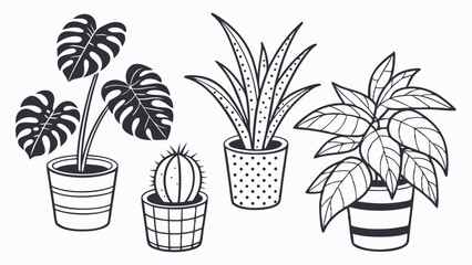 Flat Design Set of Monstera, Cactus, and Succulent Pots