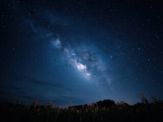 A Starry Sky Above A Peaceful Flower Garden