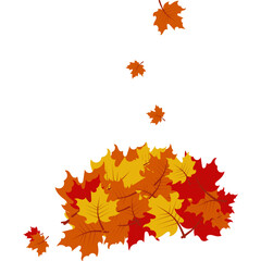 Obraz premium Autumn Leaf Pile