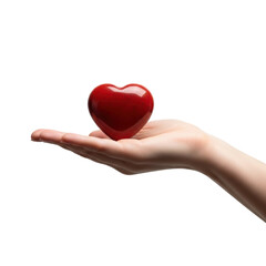 Obraz premium A human hand gently cradles a shiny red heart, conveying themes of love, health, and emotional connection. Perfect for concepts of giving, support, and valentine day.
