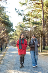 Two women walking in the park. Friends walking on a path in the park. Nature.