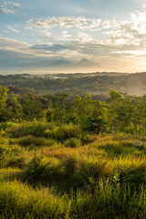 Beautiful sunlight illuminates a vast landscape of trees, grass, and misty mountains, creating a...