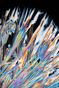 Detailed view of wine acid microcrystals under a microscope