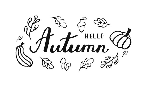 Hello autumn text font calligraphy handwritten lettering script black color. Fall season banner with maple pumpkin leaves acorn. Script text created by hand. Quote for inspiring poster, social media.