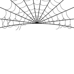 Spider Cob Web Border