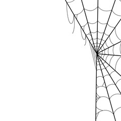 Spider Cob Web Border