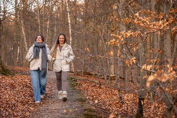 Two women walking in the forest. Forest. Nature. Outdoor recreation.