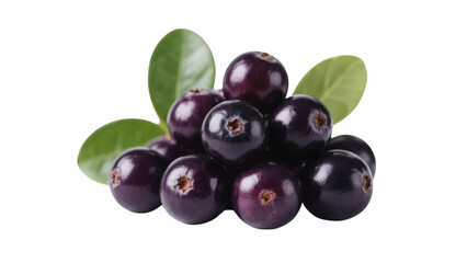 Fototapeta premium Fresh Blackcurrants with Green Leaves on Transparent Background