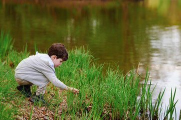 curious boy exploring lakeside, kneeling on grassy bank beside tranquil water. child immersed in...