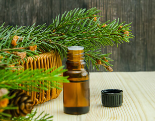 The bottle of natural facial skin care product, which contains coniferous oil, is surrounded by fir branches and cones.