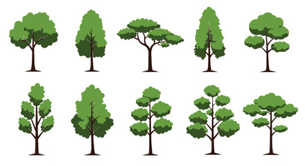 Stylized Geometric Tree Illustrations Collection Isolated On White Background