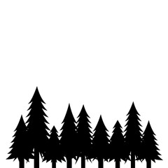 Fototapeta premium Pine Tree Forest Landscape Silhouette
