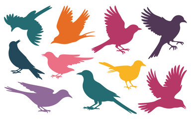 Obraz premium Colorful Bird Silhouettes Illustration Flying, Perched, and Standing Birds on White Background Art
