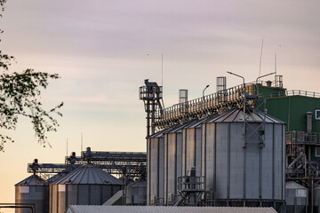 Large metallic silos store harvested grain, showcasing the industrial structure of a busy...