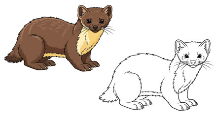 European Pine Marten Coloring Page Featuring Realistic Color and Clear Outline Wildlife Study