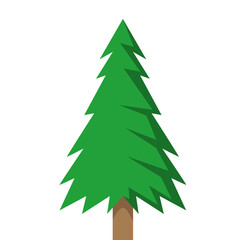 Pine Tree Forest Illustration