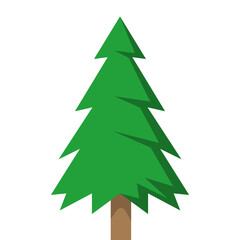 Fototapeta premium Pine Tree Forest Illustration