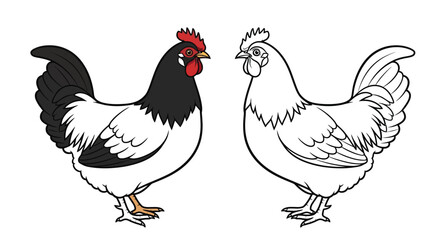Lakenvelder Chicken Coloring Page Featuring Realistic Color and Clear Outline Poultry Art