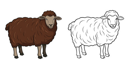 Obraz premium Ouessant Sheep Coloring Page with Realistic and Outline Sheep Farm Animal Art Activity