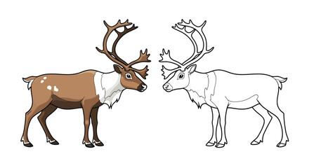 Naklejka premium Reindeer Coloring Page with One Colored and One Outline Animal Arctic Wildlife Fun