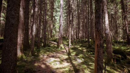 Fototapeta premium Scalve valley nature, landscapes in Orobic Alps, Bergamo, Italy
