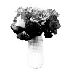 Halftone dotted flowers in vase. Vector cut out textured bouquet of roses for collages