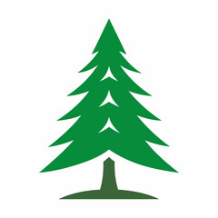 Green evergreen tree isolated on white background