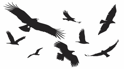 Obraz premium Black and white flying eagle and raptor bird silhouettes in various dynamic flight poses isolated on white, for nature and wildlife art.