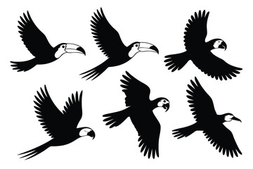 Obraz premium Silhouette Illustration Collection of Parrots and Toucans in Flight with Wings Spread
