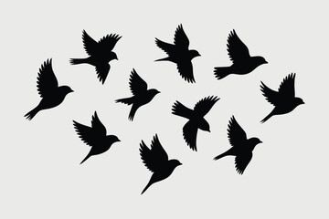 Obraz premium Silhouette of Eleven Birds Flying, Wings Spread, Against a Light Gray Background, Design