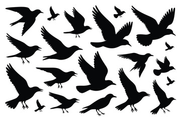Obraz premium Silhouettes of Birds in Various Poses on White Background Flying, Landing, and Standing Birds