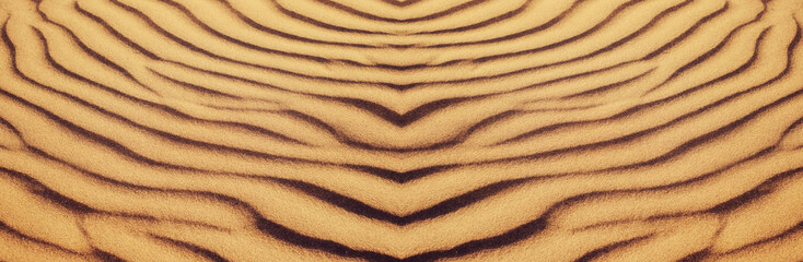 Background texture of desert sand