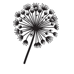 Allium Flower SVG