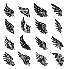 Obraz premium Collection of sixteen different black wing illustrations on a white background