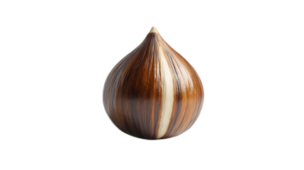 Single Sunflower Seed Macro Photography, Brown and Beige Hues, on transparent background