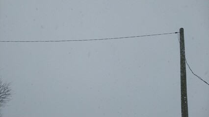 A wooden utility pole with a power line against a gray, snowy sky, creating a minimalistic winter scene.