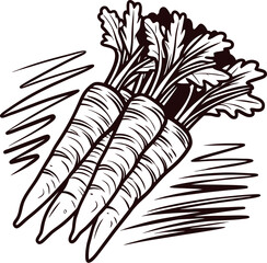 Three hand drawn carrots with leafy tops vintage engraved sketch isolated on white background